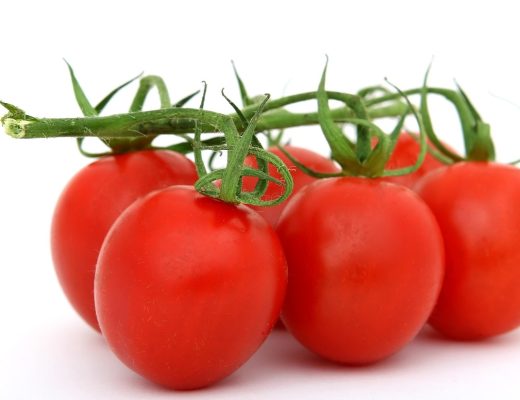 Tips Memilih Bahan Makanan Organik yang Tepat